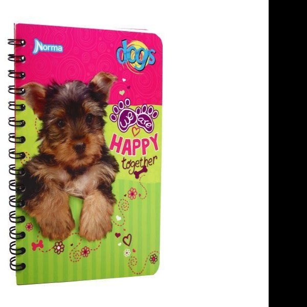 CUADERNO FRANC. DOGS NORMA 522657 RAYA ESP. 100H. C50